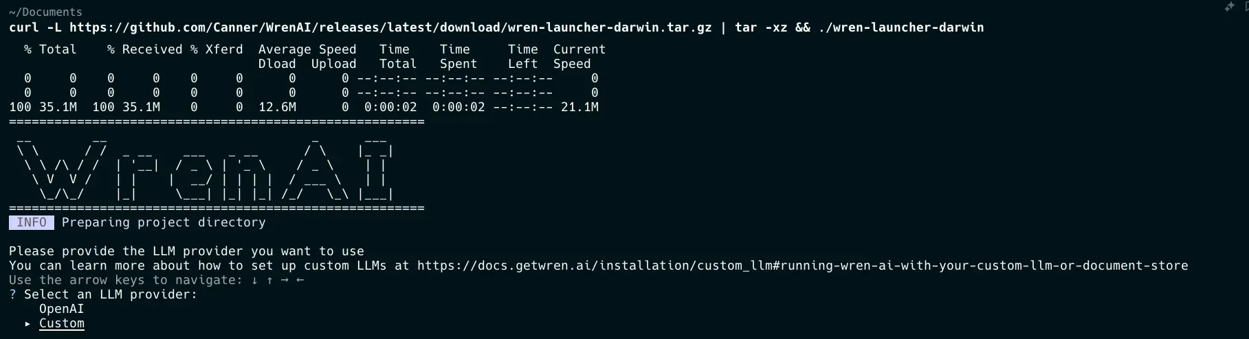 Choosing the custom LLM provider in the Wren AI launcher