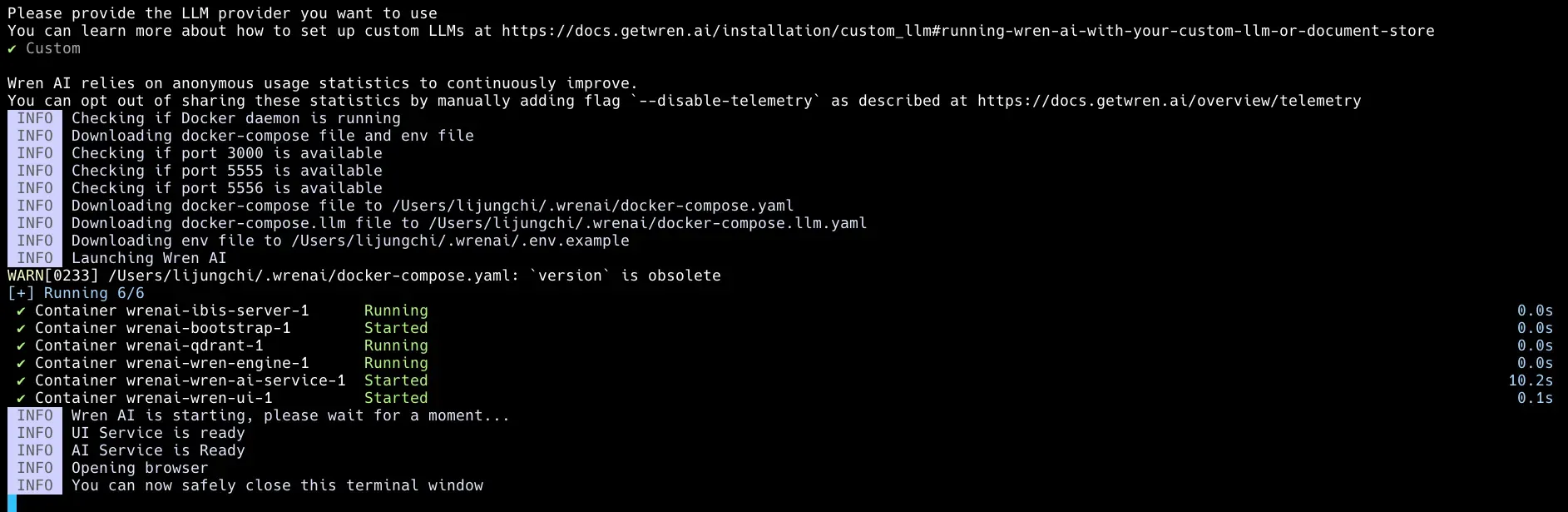 The launcher pulling and starting the Wren AI containers